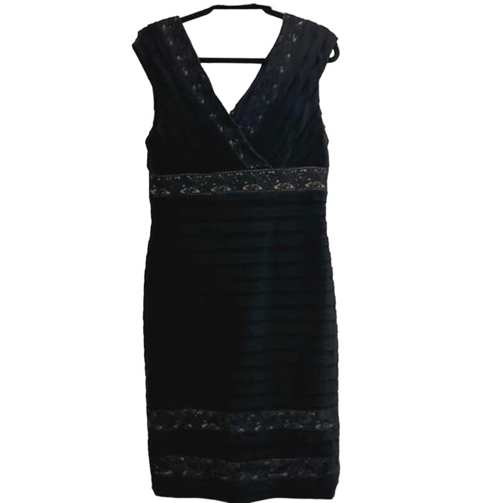 Adrianna Papell Black Shutter Pleated Sheath dress with Beige Underlays Sz 12